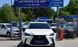 Lexus NX450h+ Executive Line - Image 20