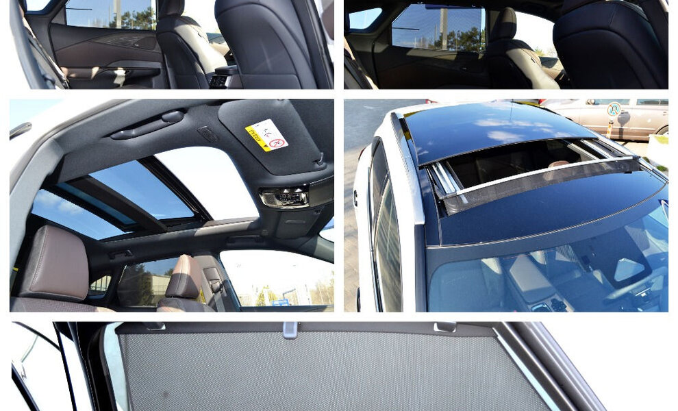 Lexus RX 450+ Luxury Line - Image 15