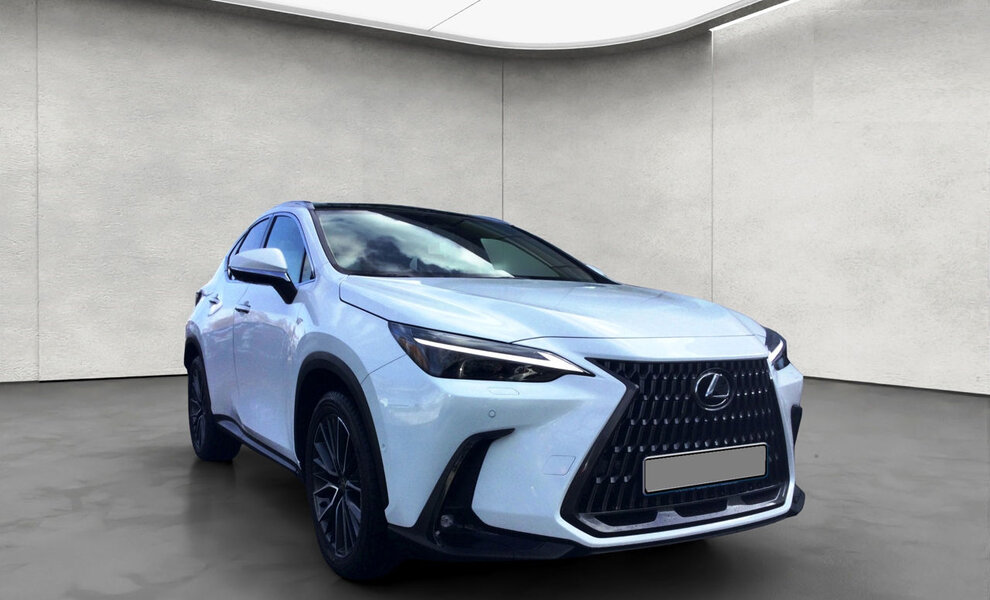 Lexus NX450+ Luxury Line - Image 3
