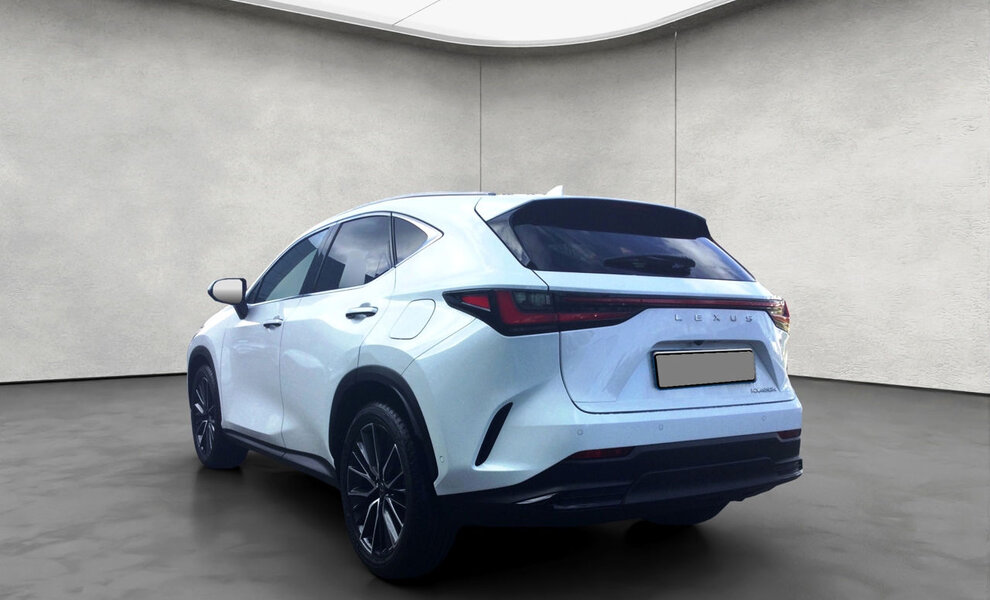 Lexus NX450+ Luxury Line - Image 4