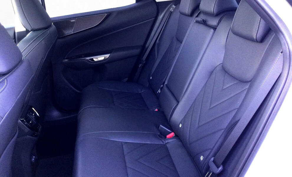 Lexus NX450+ Luxury Line - Image 11