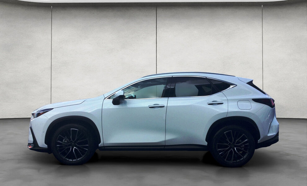 Lexus NX450+ Luxury Line - Image 15