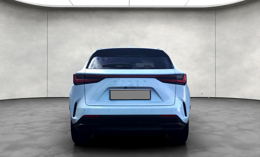 Lexus NX450+ Luxury Line - Image 17