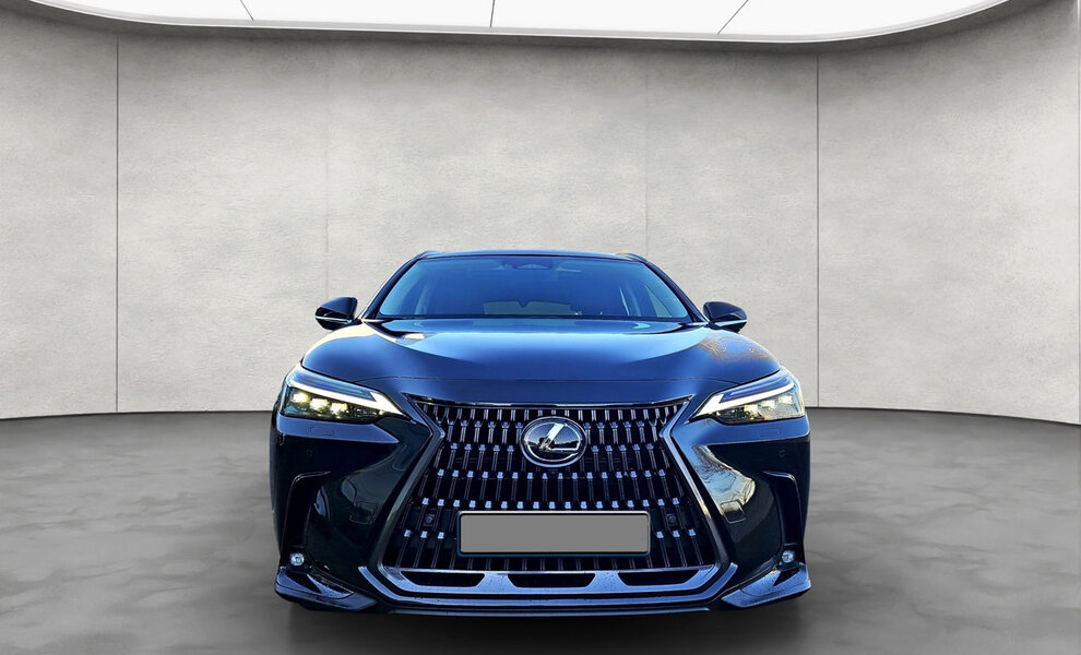 Lexus NX450+ Luxury Line - Image 18