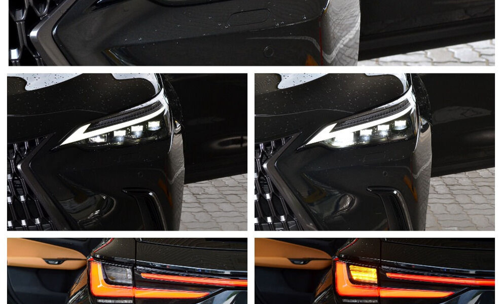 Lexus NX450h+ LUXURY LINE - Image 15